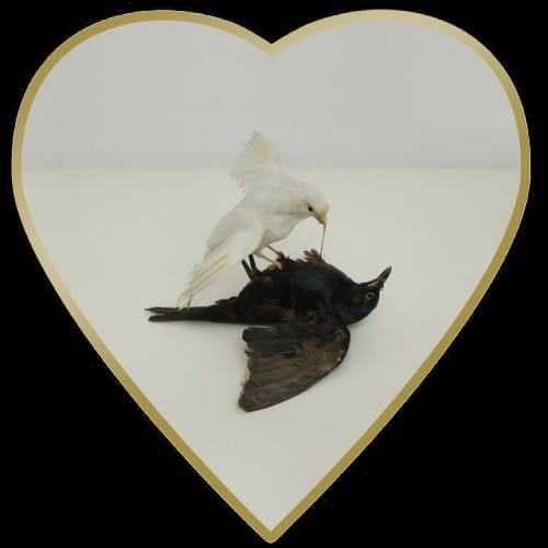MAKING AND MOURNING